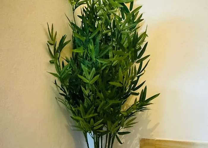 Cristina's House Affittacamere Ferrara