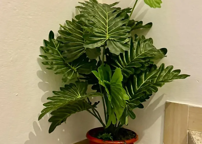 Penzion Cristina's House 3*